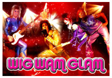 WIG WAM GLAM.  Amazing 70's tribute taking you back to the days of sequins, glitter and glam rock with songs from Sweet, David Bowie, T. Rex, Bay City Rollers, Slade and on and on!!  